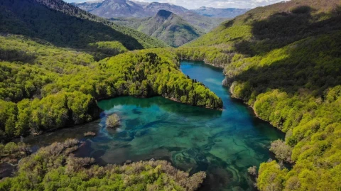 Do not miss the opportunity to visit Biogradska Gora, one of only 5 rainforests in Europe