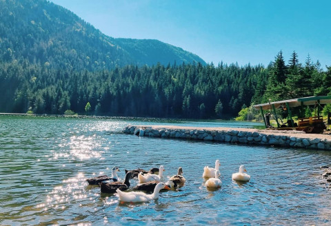 Beyond the Beaches: Why Your Next Adventure Should Be in a Montenegrin Village